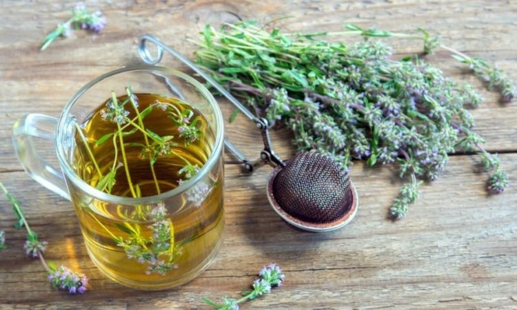 Kəklikotunun faydaları - Bu adamlar istifadə etməsin