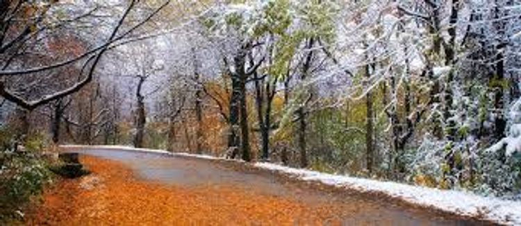 Sabah hava necə olacaq? - PROQNOZ