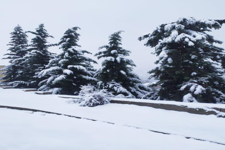 Hadrut qəsəbəsi bu gün - FOTO 