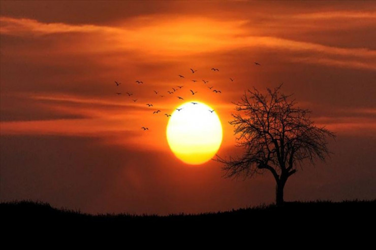 Dünyada orta temperatur arta bilər