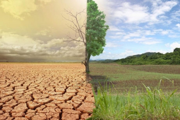 Torpaqların səhralaşmasına qarşı MÜHÜM SƏRƏNCAM 