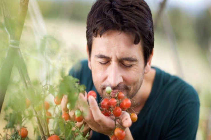 Koronavirusdan sonra qoxu bilməni necə qaytarmalı? - Nevroloq DANIŞIR 