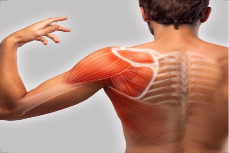 Əzələ ağrıları