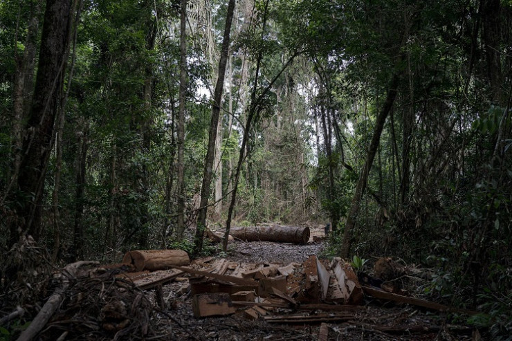 Braziliyanın tropik meşələri karbon qazını udmaq əvəzinə, xaric etməyə başlayıblar