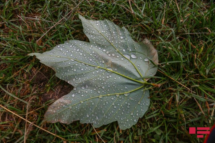 Sabaha olan hava PROQNOZU 