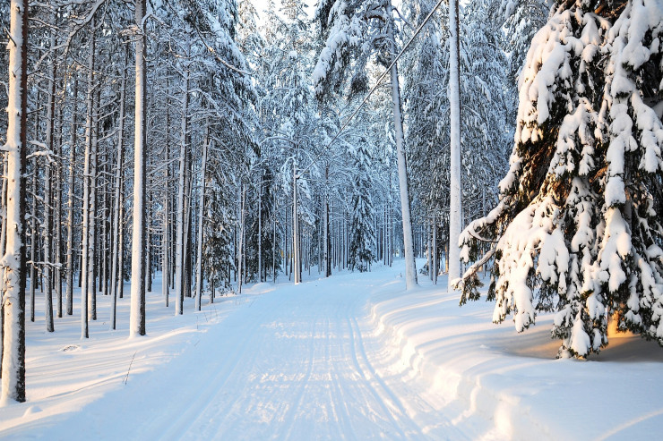 Azərbaycanda bu gündən qış fəsli başlayır