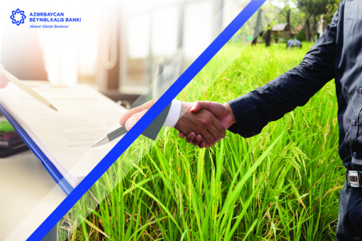 Azərbaycan Beynəlxalq Bankı bu il 55 ailənin özünüməşğulluğunu təmin edib