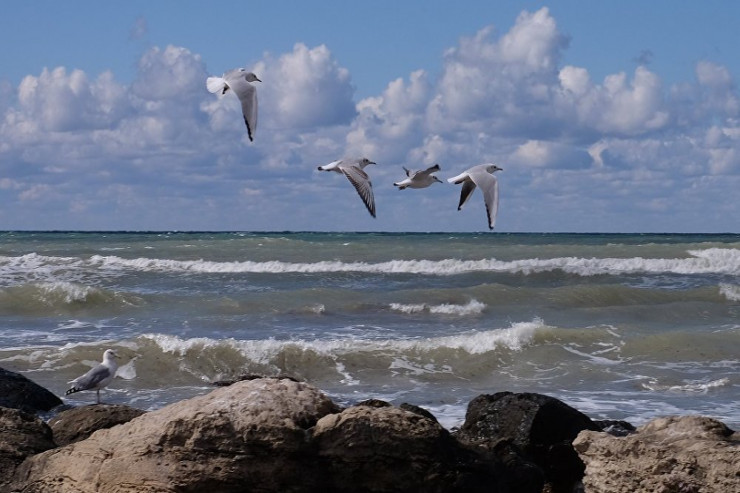 Xəzərin səviyyəsinin dəyişməsi barədə RƏSMİ AÇIQLAMA 