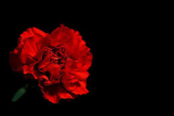 Ötən ilin son mənzili... – Mədəniyyət sahəsində kimləri itirdik?