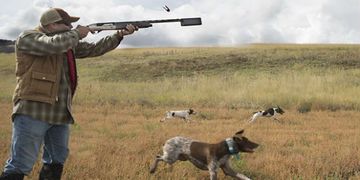 Azərbaycanda ovçuluqla bağlı problemi necə həll etmək olar?  - MÜZAKİRƏ