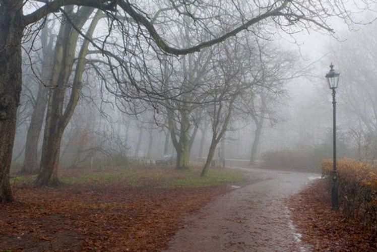 Sabah hava necə olacaq? - PROQNOZ