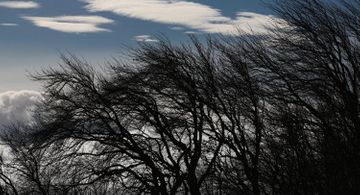 Neft Daşlarında dalğanın hündürlüyü yüksəldi - FAKTİKİ HAVA