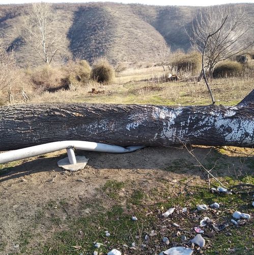 Güclü külək minə yaxın evi qazsız qoydu - FOTO