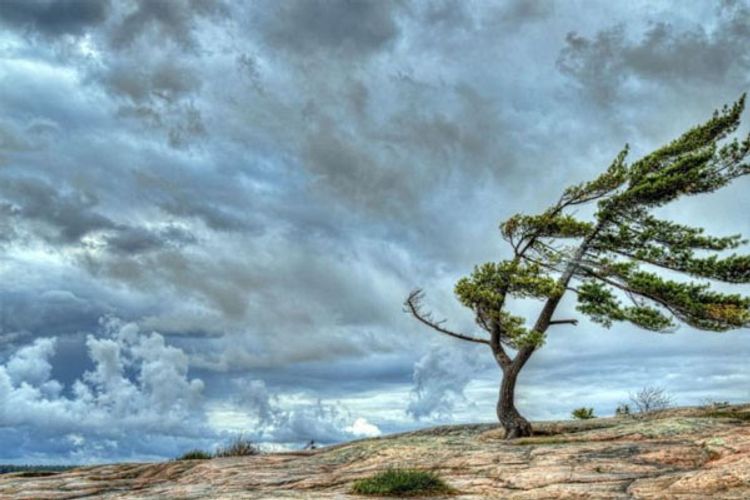 Martın ilk günü hava necə olacaq? – PROQNOZ