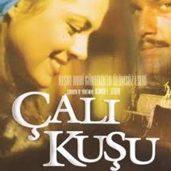  “Çalıquşu” romanının yazıldığı ev kül oldu - FOTO