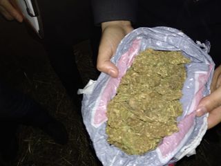 Külli miqdarda narkotik satan saxlanıldı