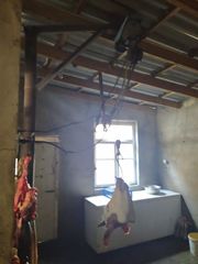 Qanunsuz fəaliyyət göstərən heyvan kəsimi məntəqələri ləğv edildi - FOTO