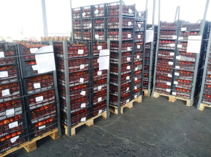 18 ton Azərbaycan pomidoru Rusiyaya buraxılmadı