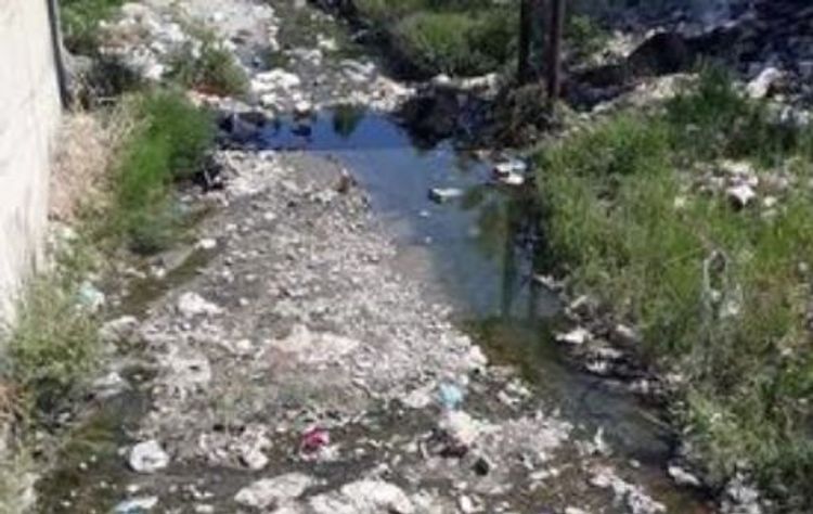 Şabranda RƏZALƏT: Dəvəçiçay zibil içində, ətraf üfunət iyi verir - FOTO