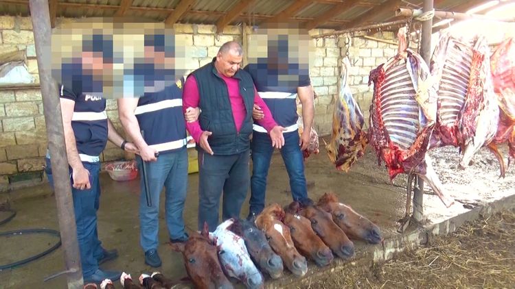Azərbaycanda mal ətini əvəzinə görün insanlara nə satdılar? - MÜTƏŞƏKKİL DƏSTƏ TUTULDU - VİDEO