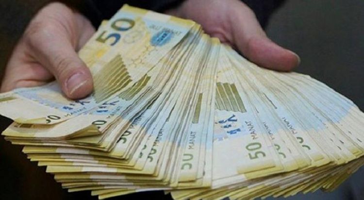 Dövlət Agentliyinə 900 min manat ayrıldı - SƏRƏNCAM