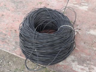 Binalarda İnternet naqillərini oğurlayırdı...