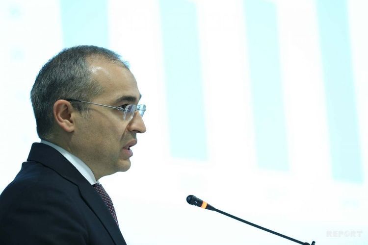 Nazir pandemiyanın iqtisadiyyata ciddi təsirindən danışdı