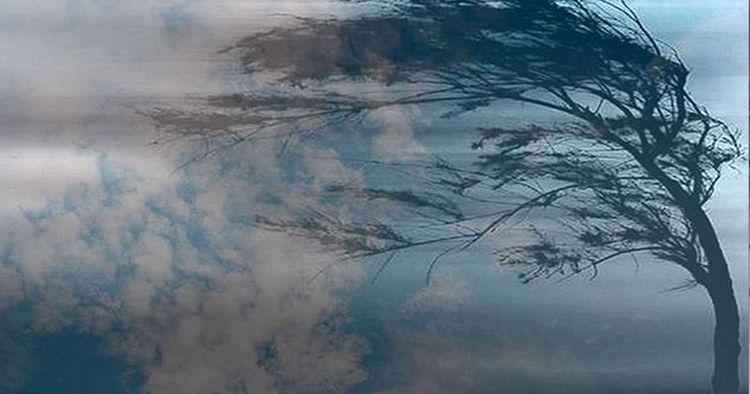 Külək bu ərazilərdə daha güclü olub – FAKTİKİ HAVA