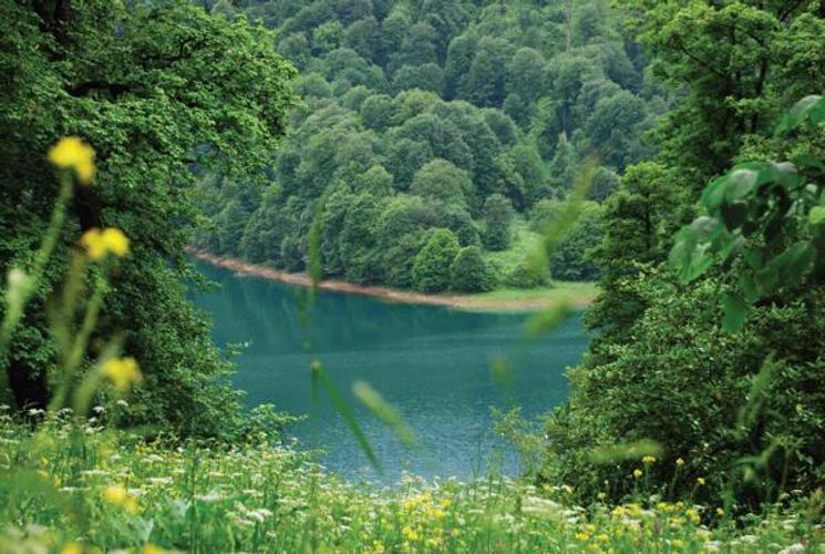 Sabah 20 dərəcə isti gözlənilir - PROQNOZ