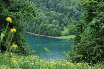 Sabah 20 dərəcə isti gözlənilir - PROQNOZ