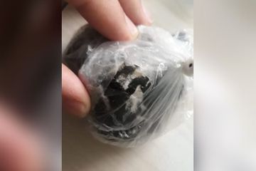 Ağdaşda narkotik alverçisi tutuldu