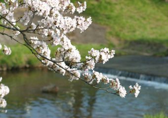 Baharın ilk günü hava belə olacaq – PROQNOZ