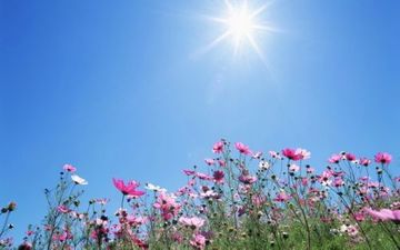 Havanın temperaturu yüksəlir - PROQNOZ