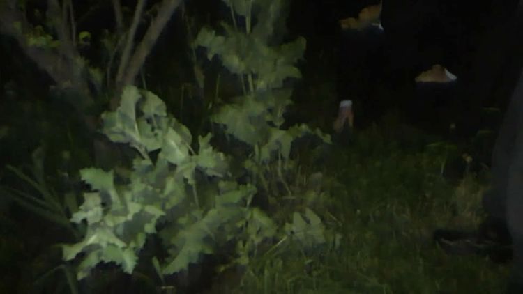 Kənddəki həyətində narkotik əkdi 