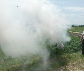 Balakəndə 1 tondan çox narkotik yandırıldı - FOTO