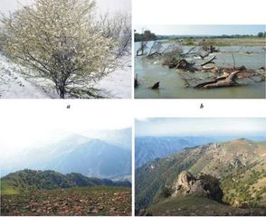  İqlim dəyişikliyi Azərbaycanda bu bitkiləri məhv edə bilər