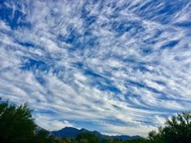 Sabah yay havası olacaq - PROQNOZ