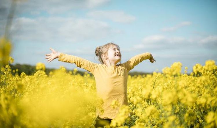 Sabah Bakıda 28 dərəcə isti olacaq - PROQNOZ