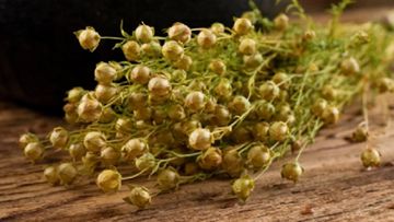 Min bir dərdin dərmanı - ÜZƏRLİKLƏ BAĞLI BİLMƏDİKLƏRİMİZ