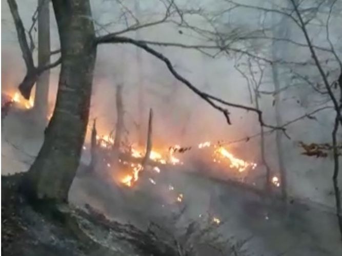 Düşmən atəşi nəticəsində meşə və mülki obyektlərdə yanğınlar olub - FOTO