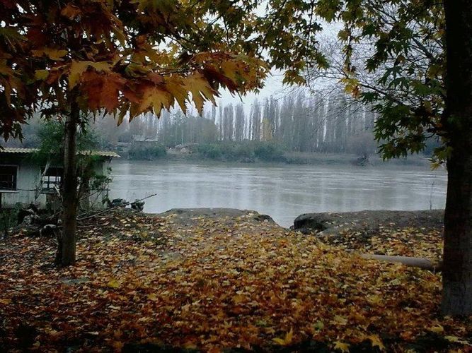 Sabah yağış yağacaq, külək əsəcək - PROQNOZ
