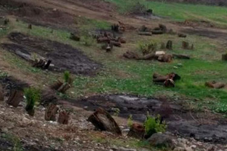 Ermənistanın törətdiyi kütləvi ekoloji terror faktları müəyyənləşdirilib - Hikmət Hacıyev 