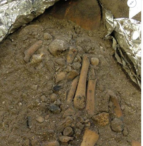 8 min il əvvəl yaşamış uşaq məzarı tapıldı