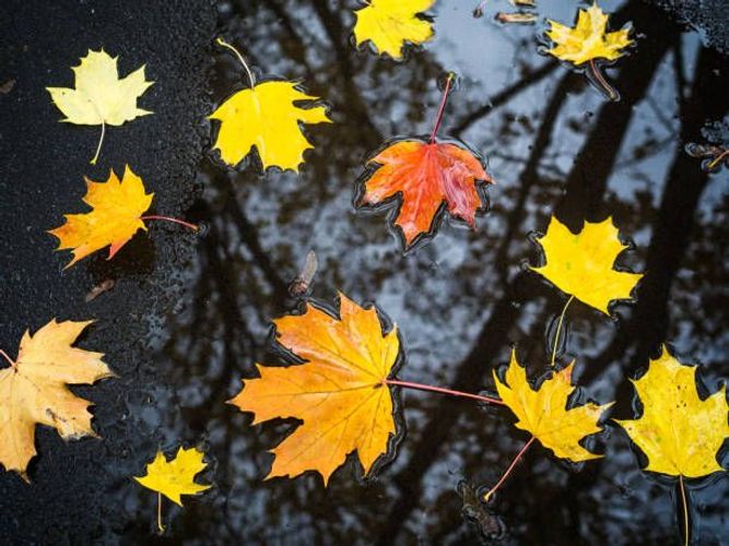 Sabahkı hava ilə bağlı bu insanlara XƏBƏRDARLIQ 