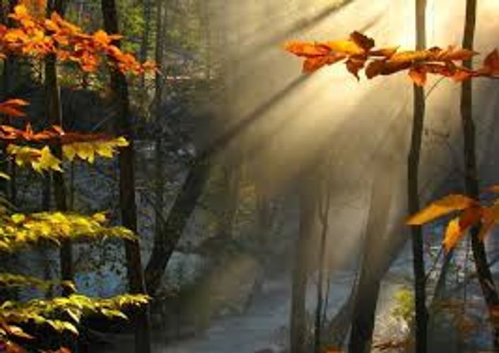 Sabahın hava PROQNOZU