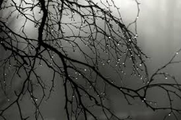 Sabahın havası - ÇİSKİN OLACAQ