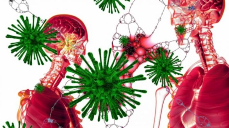 Koronavirusdan müalicə - İNFEKSİONİST DANIŞIR