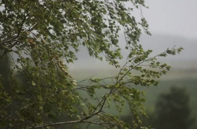 Sabahın hava PROQNOZU