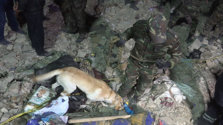 Dövlət Komitəsi Gəncə terroru ilə bağlı Bəyanat yaydı