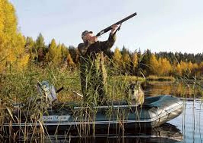 Azərbaycanda ov müvəqqəti dayandırıldı - SƏBƏB